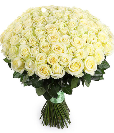 25 белых роз в фетре 70 см