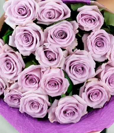 19 фиолетовых роз