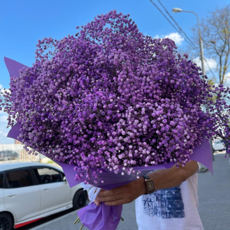 Букет_15 фиолетовых гипсофил Букет_15 фиолетовых гипсофил