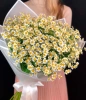 15 ромашек 15 ромашек